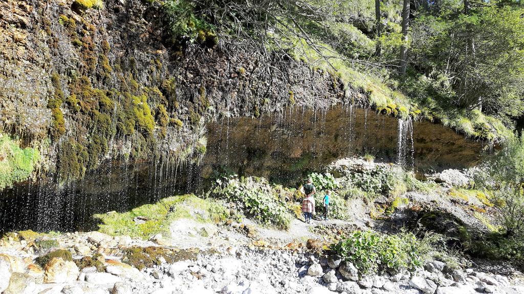 Bio-Bauernhof Hatzbauer Maria Alm am Steinernen Meer Eksteriør bilde
