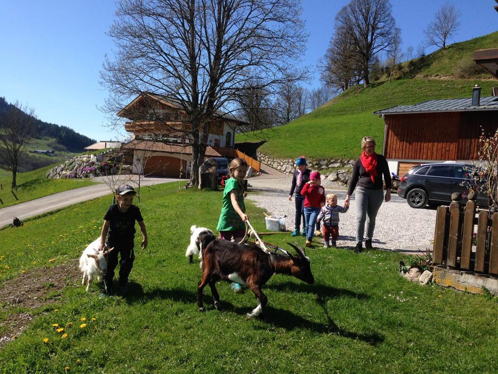 Bio-Bauernhof Hatzbauer Maria Alm am Steinernen Meer Eksteriør bilde