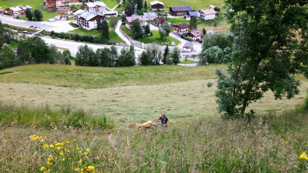 Bio-Bauernhof Hatzbauer Maria Alm am Steinernen Meer Eksteriør bilde