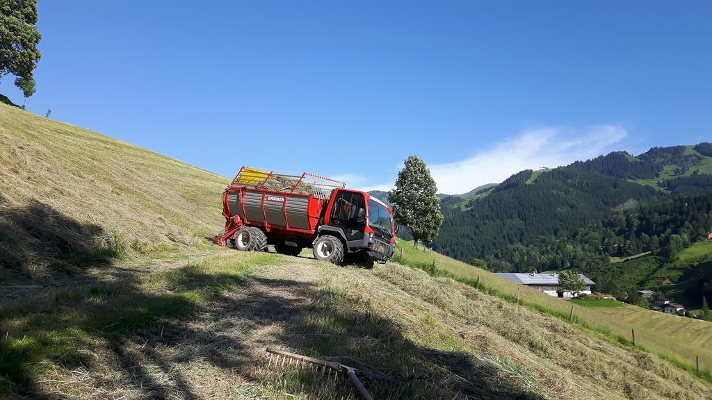 Bio-Bauernhof Hatzbauer Maria Alm am Steinernen Meer Eksteriør bilde